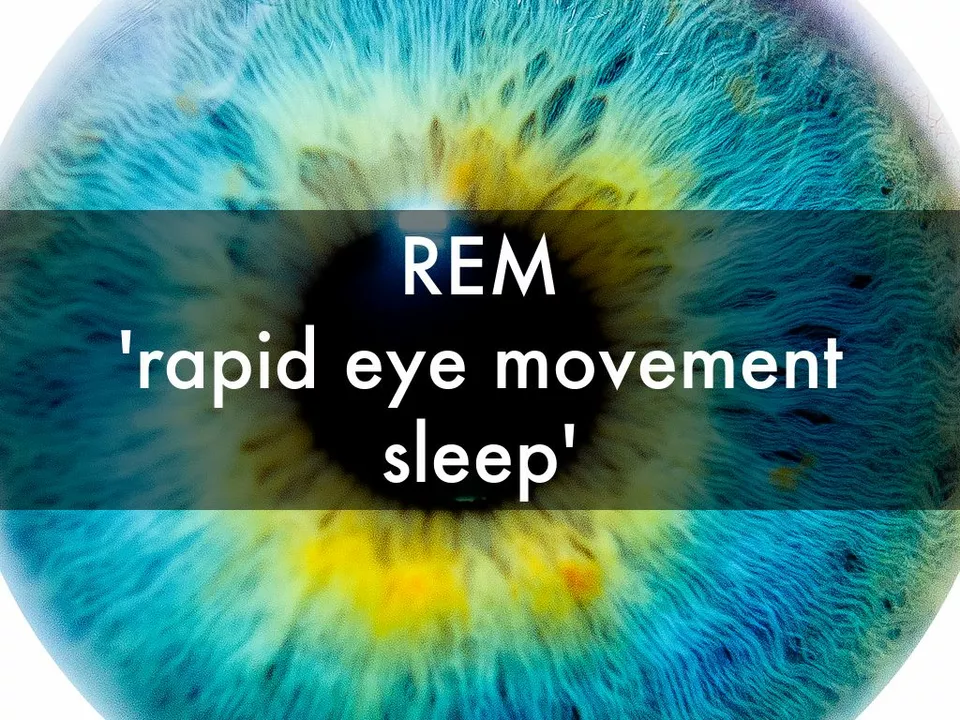 The Role of Rapid Eye Movement Sleep in Language Learning and Retention