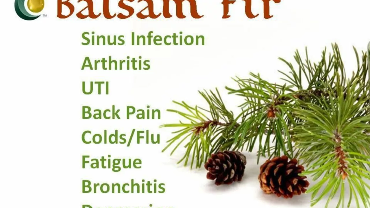 Transform Your Health with the Incredible Benefits of Oregon Fir Balsam