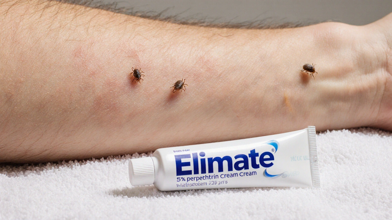Elimite (Permethrin) vs Top Scabies and Lice Treatments: Detailed Comparison